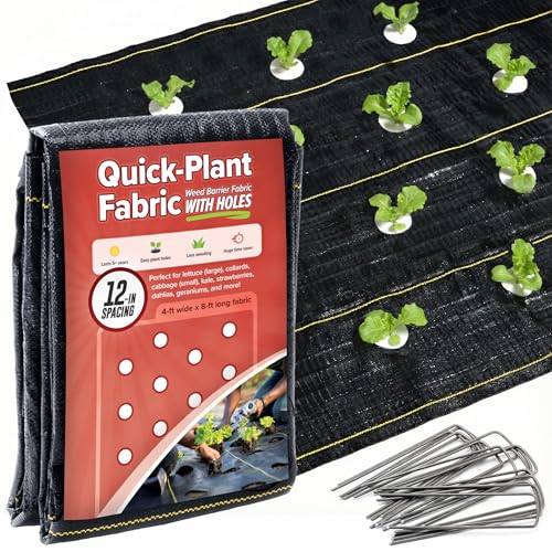 Quick-Plant Fabric, Garden Weed Barrier, 4ft x 8ft, 3.2 oz Polypropylene, Pre-Burned Planting Holes, 5-Year UV Protection (12-in Plant Spacing) - size: 12-in Plant Spacing