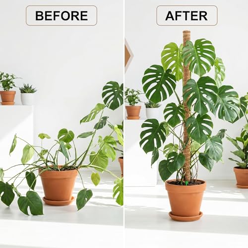 UNCO- Bendable Moss Pole Monstera Plant Support, 48 Inch, 2 Pack, 10 Feet Plant Ties, Moss Poles for Climbing Plants and Monstera Trellis