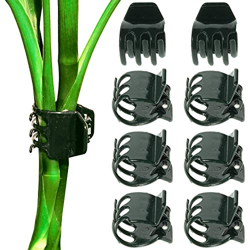 BEADNOVA 100Pcs Orchid Clips Large Orchid Support Clips for Flower Plant Vine (2cm, 100PCS) - color: 100pcs
