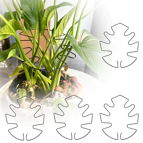 5PCS Monstera Plant Stem Support, 7.3 * 6.5 in Adjustable Stake with Leaf Holders for Indoor Plants, Unique Plant Support Kit for Climbing Plants Outdoor (Monstera) - style: A 7.3*6.5in