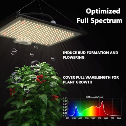 Upgrade Integrated Auto Grow Tent Kit Complete Kit, S1000 LED Grow Light, 32"x32"x64" Grow Tent, 4“ Ventilation with Inline Fan, Carbon Filter, Irrigation Kit, Humidifier and Clip Fan - size: 32"X32"X64"