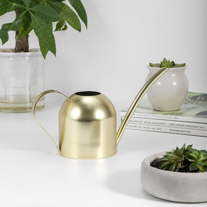 Stainless Steel Water Can for Indoor Plants and Garden (Gold 30 oz) - size: Gold 30 oz