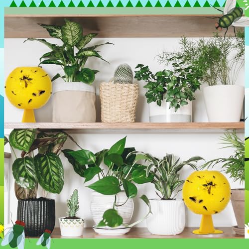 Qualirey 10 Set Fruit Fly Sticky Trap Balls Fungus Gnat Killer, Yellow - color: Yellow