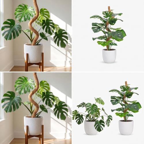 2-Pack Stackable Bendable Moss Pole, Rust-Free Aluminum Core for Monstera