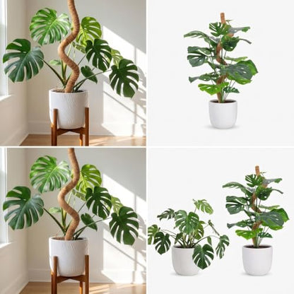 2-Pack Stackable Bendable Moss Pole, Rust-Free Aluminum Core for Monstera