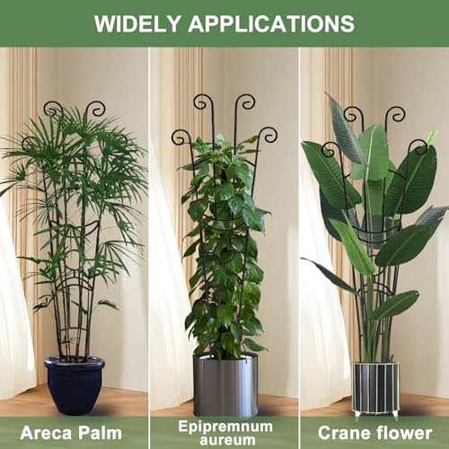 Coomin 32.6in Monstera Plant Support Trellis for Indoor Plants, 4P - size: 32in,rectangular/4p