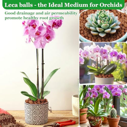 2LB Organic Leca Clay Pebbles for Plants, 4-16mm Natural Leca Balls - size: 2LB