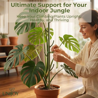 10-Piece Thick Plant Support Stakes: Stackable for Monstera Climbing Vines