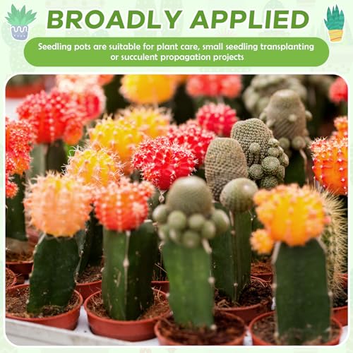 Yaomiao 200 Pcs 2 Inch Red Mini Nursery Pots with Drainage Holes - color: Red, size: 2 Inch