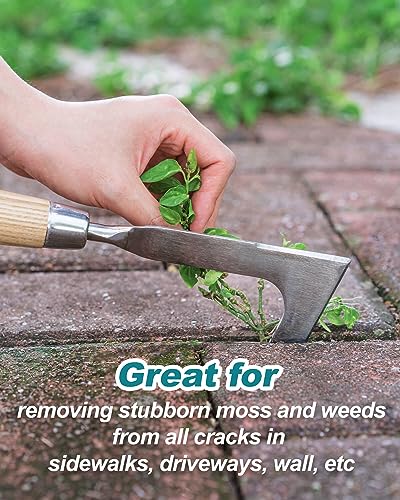 Crack Weeder Crevice Weeding Stainless Steel Lightweight Tool - size: Crevice Weed Hook