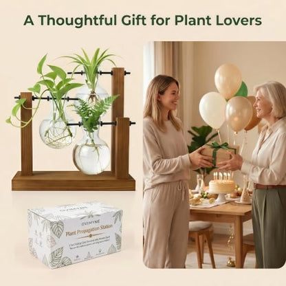 Plant Propagation Station, Wooden Stand with 3 Glass Vases