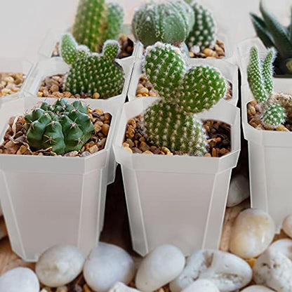 30Pcs 3" Clear Nursery Pots with Saucers, Thick Plastic Square Plant Pot - color: Clear