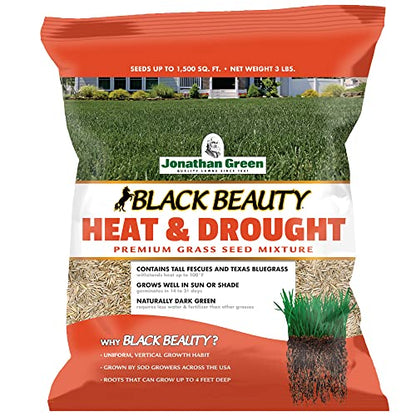 Jonathan Green Black Beauty Heat & Drought Resistant Grass Seed - 3 lb - size: 3 lb