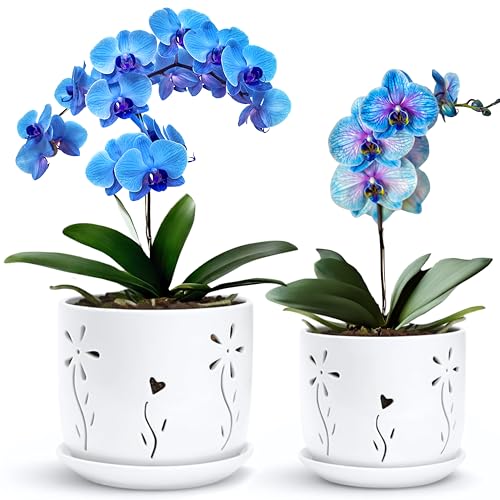 2 Pack, 5 + 6 Inch White Orchid Pots with Holes and Saucer, Ceramic Orchid Planters for Repotting with Drainage Holes and Tray, Plant Flower Pot containers for Orchid Indoor Outdoor