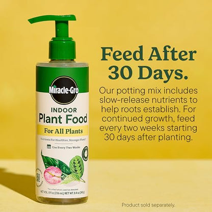 Miracle-Gro Shake 'N Feed All Purpose Plant Food, 4.5 lb. (6-Pack) - size: 16 qt (2-Pack)