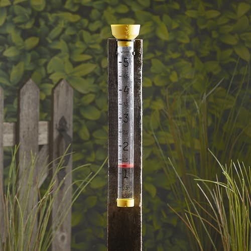 Taylor Jumbo JR Rain Gauge, Measure and Monitor Precipitation, Easy to Read for Backyard, Patio, Garden, and Lawn, 5-inch, Yellow