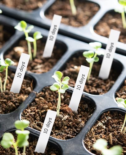 Homenote 200-Pack 4-Inch Waterproof Plastic Plant Labels with Marker, White