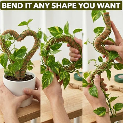 Bendable Moss Pole 2-Pack for Monstera & Climbing Plants