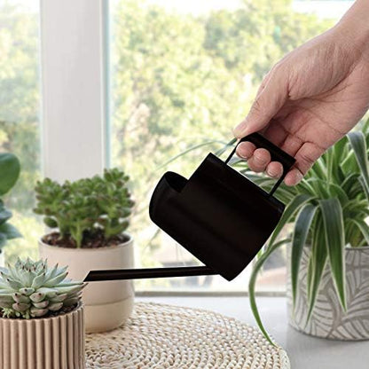 Mini Watering Can, 10oz/300ml Stainless Steel Long Spout Small Watering Can for Indoor Plants Succulents, Herbs (Black) - color: Black