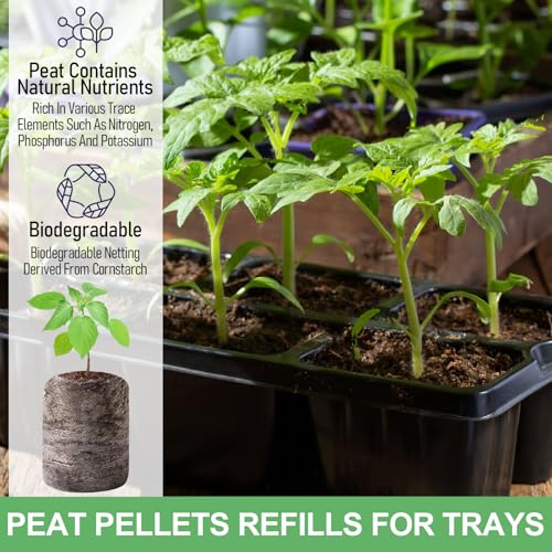 Legigo 100 Pcs 50mm Peat Pellets for Seedlings, Seed Starter Soil Pods - size: 50mm