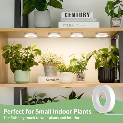 LORDEM Grow Light for Indoor Plants, 192 LEDs Ceiling Full Spectrum Plant Light, Quad Head Plant Lamp with 3/6/12H Auto Timer, 6 Brightness Levels, Individual Bulb Control, Corded - size: 3.54in-4 Head