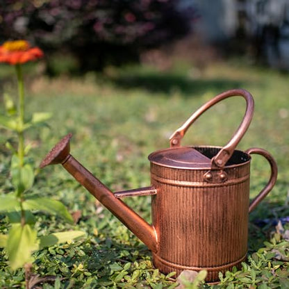 1 Gallon Copper Metal Watering Can, Removable Spout - color: Copper, size: 1 Gallon
