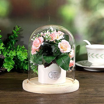 JUXYES 4.5x6 Inch Clear Glass Display Dome Cloche with Maple Wood Base