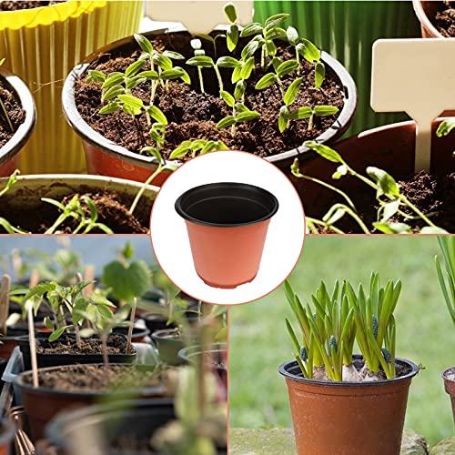 KINGLAKE 50 Pcs 6" Plastic Plants Nursery Seedlings Pot/Pots Flower Plant Container Seed Starting Pots for Plant - color: Brown