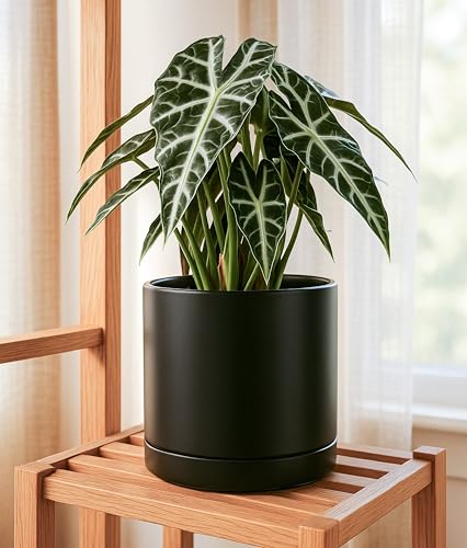 D'vine Dev 10 Inch Ceramic Planter Pot, Black, 94-O-E-2 - color: Black, size: Large