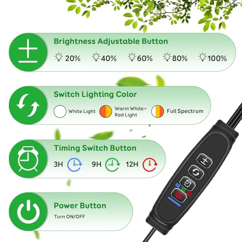 Clip Grow Lights for Indoor Plants, Full Spectrum Plant Lights - size: 2 Pack