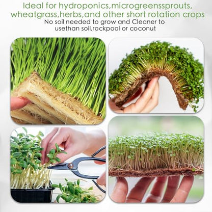 6 Pack Microgreens Growing Kit, Microgreens Trays for Indoor Gardening - size: 15in-6P with 12 Mats