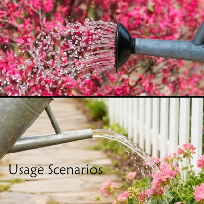 Metal Watering Can 1 Gallon for Indoor and Outdoor Plants Silver Black - color: One Gallon Silver Black