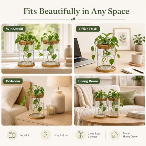 Glass Plant Propagation Stations, 2PCS