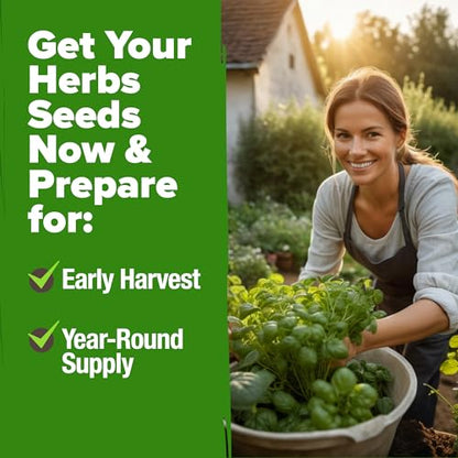 HOME GROWN 10 Herb Variety Pack 3000+ Seeds Extra Large Culinary Kit