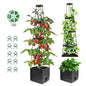 2 Pack Tomato Planter with Trellis 57 Inch Self Watering Pots Cage Boxes