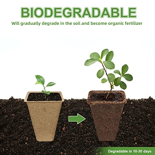 120 Cells Biodegradable Seedling Starter Trays,10 Pack Plant Starter Kit - size: 120 Cells, 10 Packs