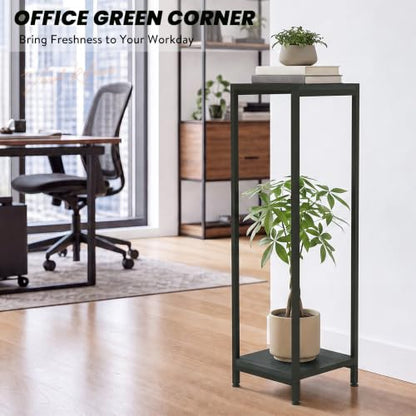 TOSKING 2-Tier Wide & Tall Plant Stand Indoor, Modern Metal Shelf, Black - color: Black-2-tier 41''