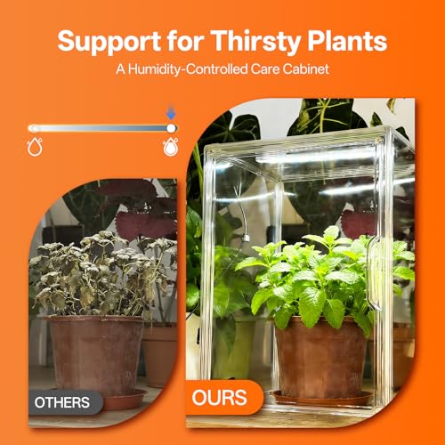 Bstrip Small Tabletop Greenhouse with Grow Light, Indoor Seed Starter Kit
