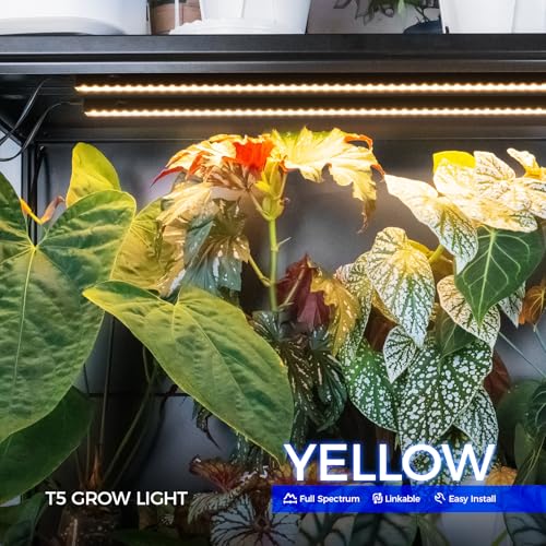 Barrina T5 Grow Lights for Growth, 3FT 16W Yellow, LED Grow Lamp, 8 Packs - color: Yellow, size: 3FT-Black Cover