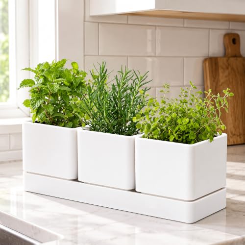 D'vine Dev Plastic Herb Garden Planter Set, White, 76-V-A-1 - color: White, size: 12"