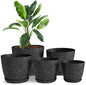 Plant Pots Indoor with Drainage 5 Pack Multi-Size Planters Set Spotty Black - color: Speckled Black, size: Pack of 5