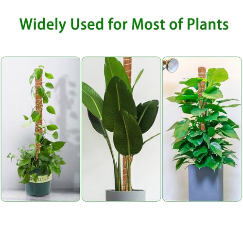 2 Pack 35.4'' Moss Pole for Monstera, Bendable Coco Coir Plant Support Stakes - size: 2 Pack（35.4-Inch）