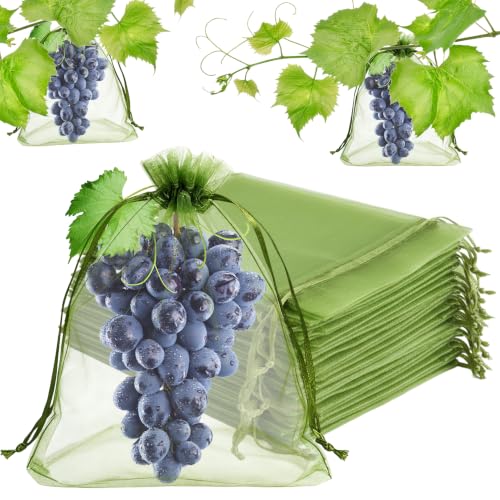 100Pcs Fruit Protection Bags for Fruits Trees, 6″ X 9″ Mesh Drawstring Fruit Tree Cover Bags for Garden, Green Organza Reusable Fruits Tree Netting Protector Net Bag for Grapes Mango Strawberry Tomato - size: 6×9 IN