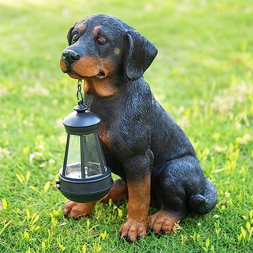 Dog Garden Statue, Rottweiler Solar Statue Holding Lantern,Rottweiler Gifts - color: Black
