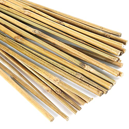 20 Pcs 18 Inch Natural Bamboo Plant Support Stakes for Indoor Plants, Bamboo Sticks Poles Garden Bamboo Stakes for Potted Plants, Tomato, Beans - size: 20 Pcs Stakes