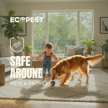 Carpet Beetle Traps – 12 Pack | Sticky Indoor Glue Boards for Carpet Beetles, Larvae & Other Crawling Insects | Non-Toxic Pest Control Trap & Monitor for Closets, Storage Areas, and More