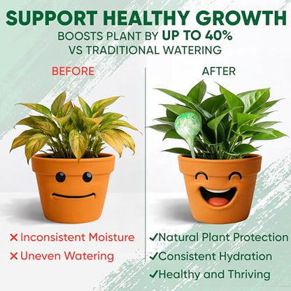 Plant Watering Globes Set of 2, Large - Glass Self Watering Globes - style: Set of 2 Large