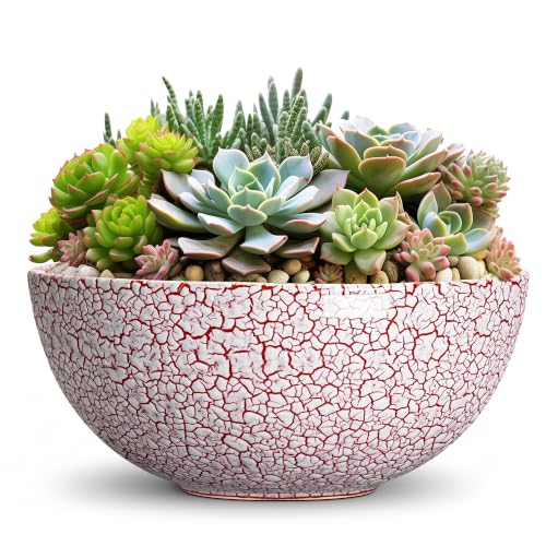 Succulent Pots 12 Inch, Ceramic Bonsai Planter, Texture Red - color: Texture Red-1, size: 12 Inch