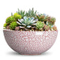 Succulent Pots 12 Inch, Ceramic Bonsai Planter, Texture Red - color: Texture Red-1, size: 12 Inch