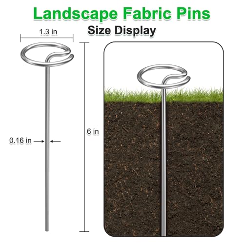 60 Pcs 6-Inch Heavy-Duty Galvanized Landscape Staples – Thickened 8 Gauge Circle Top Pins, Rust-Resistant for Weed Barrier, Landscape Fabric, and Garden Projects - size: 6 in 60 PCS